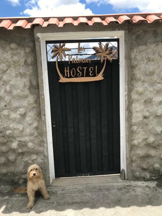 Hostel Las Palmas Vilcabamba Exterior foto